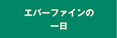 エバーファインの一日